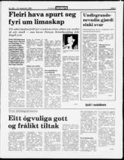 Síða 3