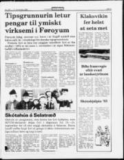 Síða 5