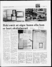 Síða 9