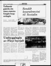 Síða 3