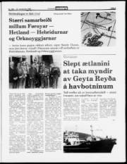 Síða 3