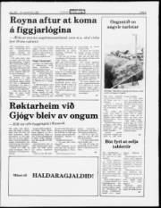 Síða 5