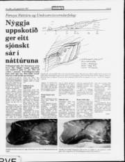 Síða 9