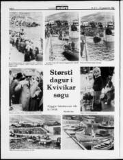 Síða 2