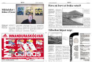 Síða 3