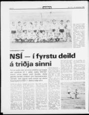 Síða 12