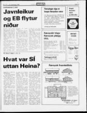 Síða 13