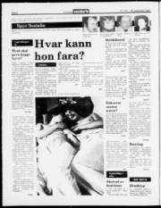 Síða 2