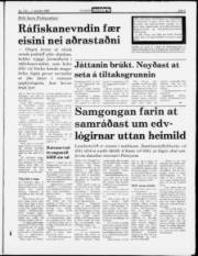Síða 5