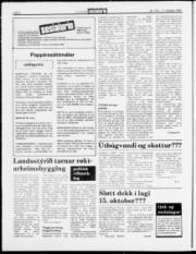 Síða 6