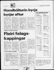 Síða 10