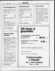 Síða 19