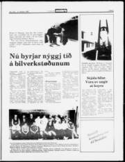 Síða 5