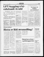 Síða 5