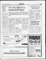 Síða 3