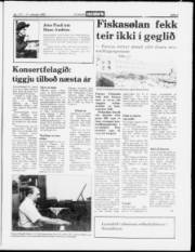 Síða 5