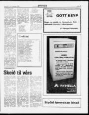 Síða 11
