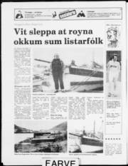 Síða 16