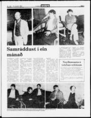 Síða 3