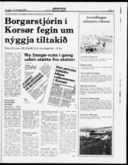 Síða 11