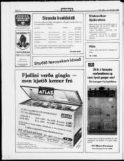 Síða 12