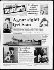 Síða 1