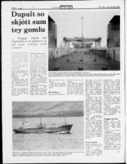 Síða 4