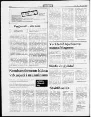 Síða 6