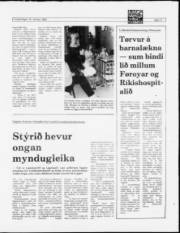 Síða 11