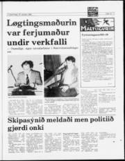 Síða 13