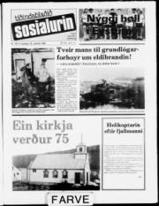 Síða 1