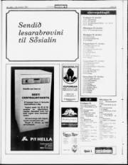 Síða 15