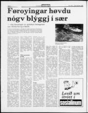 Síða 2
