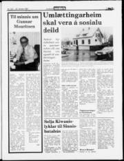 Síða 3