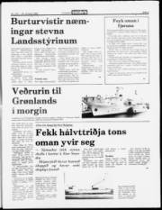 Síða 5