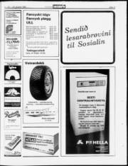 Síða 13