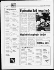 Síða 8