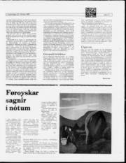 Síða 11