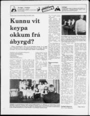 Síða 20