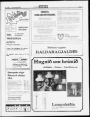 Síða 13