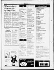 Síða 15