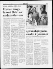 Síða 3