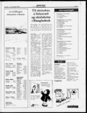 Síða 11