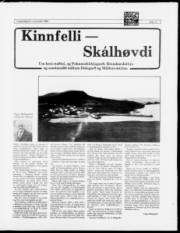 Síða 11