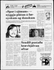 Síða 20