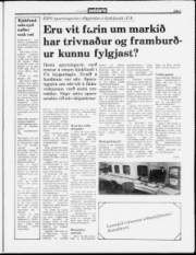 Síða 3