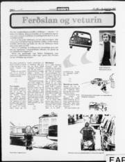 Síða 8