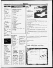 Síða 15