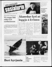 Síða 1