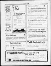 Síða 14